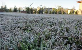 PRIMERA HELADA DEL AÑO EN CÓRDOBA