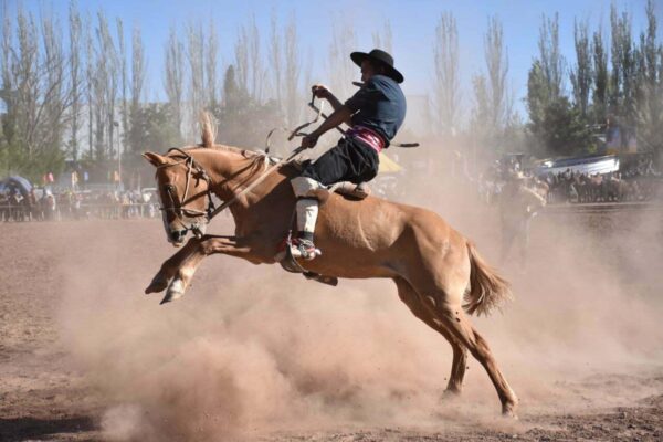 VILLA DEL ROSARIO – LLEGA LA 31° FIESTA BEGRANEANA DE JINETEADA