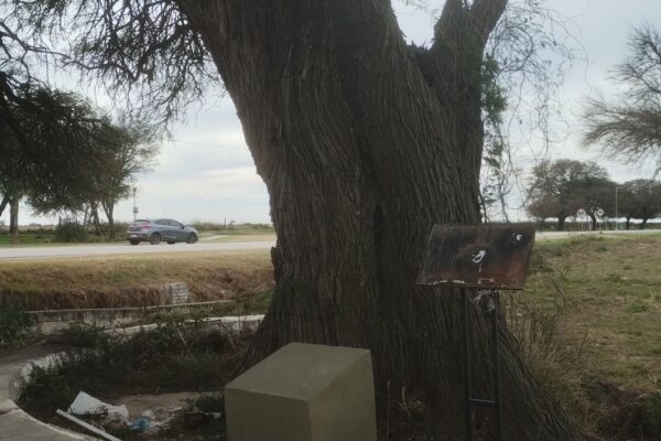 INDIGNACIÓN POR EL ABANDONO DE UN ALGARROBO HISTÓRICO DE MÁS DE 360 AÑOS EN LAGUNA LARGA