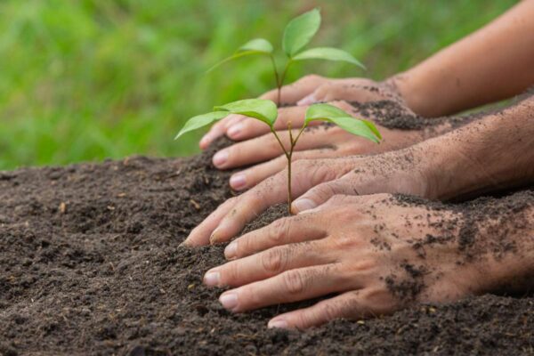 ONCATIVO SE SUMA A LA ACCIÓN AMBIENTAL CON UNA JORNADA DE FORESTACIÓN NATIVA