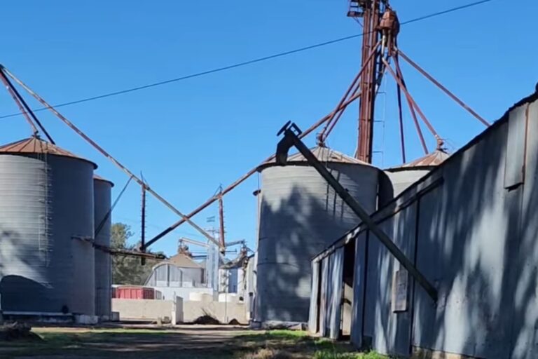 MANFREDI: INICIÓ EL DESARME DE LA EX PLANTA DE ACOPIO CEREALERA EN EL ACCESO A RUTA 9