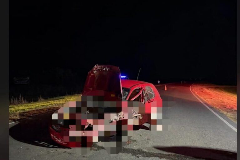 ACCIDENTE ENTRE AUTOMÓVIL Y CAMIÓN EN MATORRALES