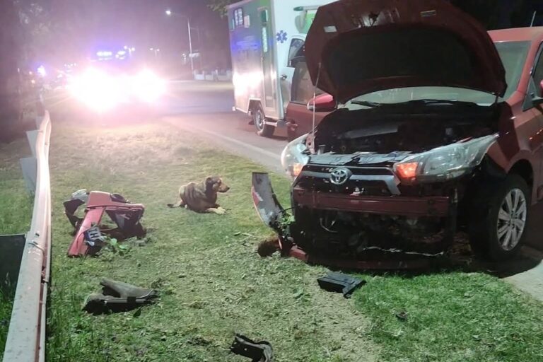 CHOCÓ CONTRA EL GUARDARRAÍL Y TERMINÓ OBSTRUYENDO LA RUTA